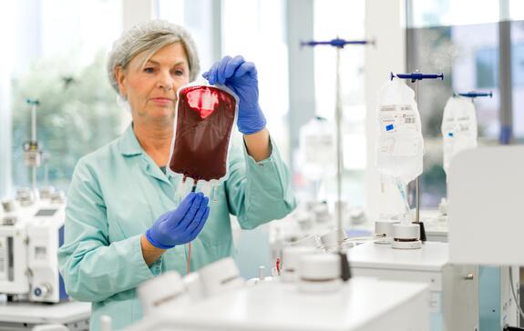 Qualität von Blutprodukten: Mitarbeiterin kontrolliert einen Blutbeutel
