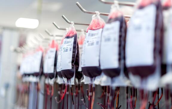 Arbeitsbereiche: Produktion von Blutpräparaten 