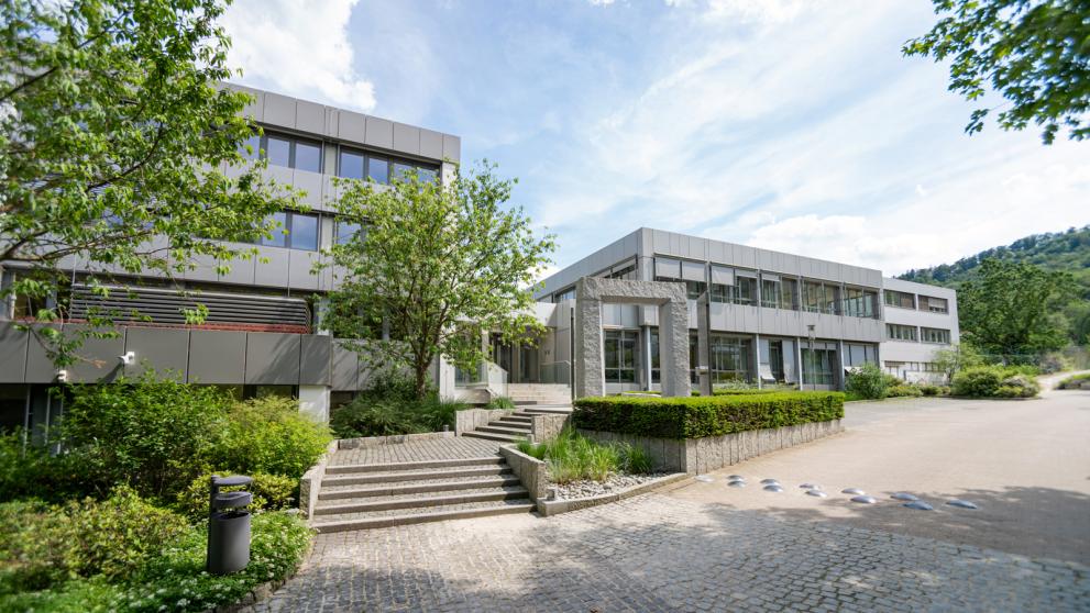 Fakten zum Blutspendedienst
