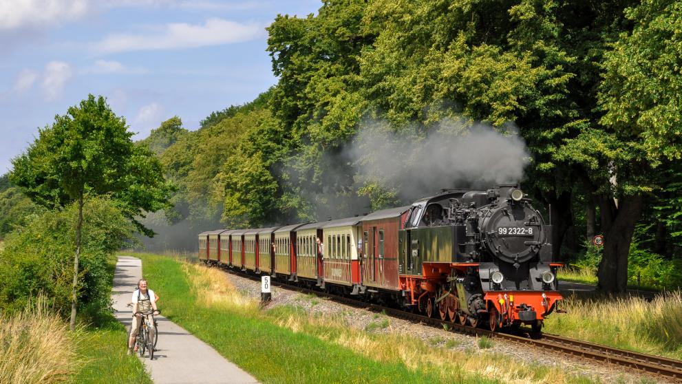 Die Bäderbahn Molli fährt an einem grünen Wald entlang