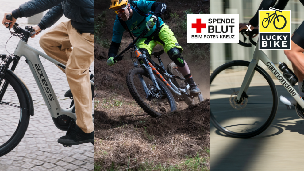 Drei verschiedene Fahrräder - ein E-Bike, ein Mountainbike und ein Gravel-Bike.