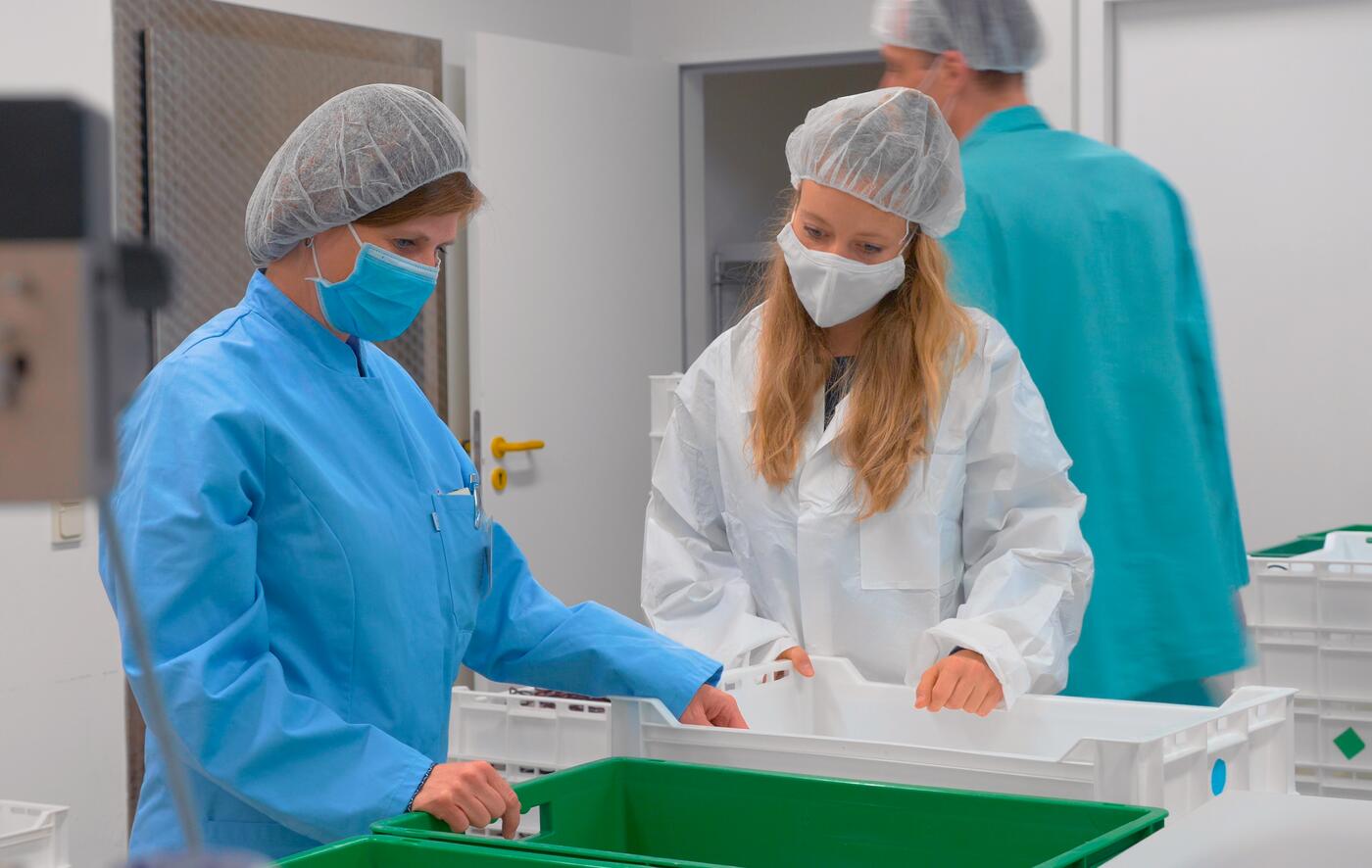 Hannah in der Weiterverarbeitung