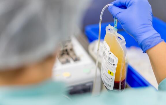 Herstellung von Blutpräparaten im Labor