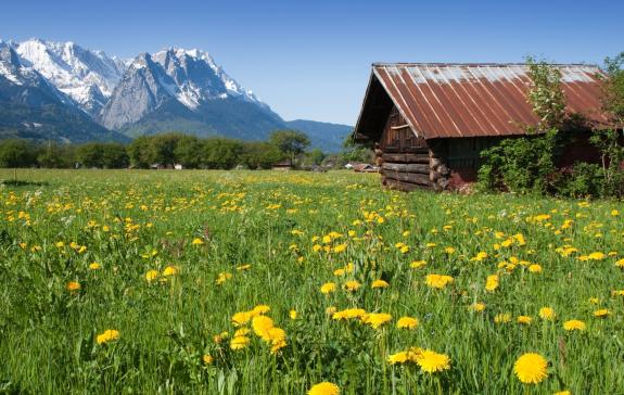 Hütte